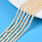 Pearl Beads